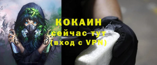Альфа ПВП Кукмор