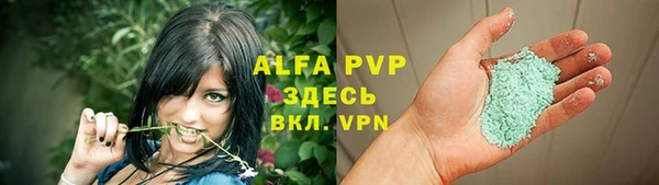мет Ладушкин